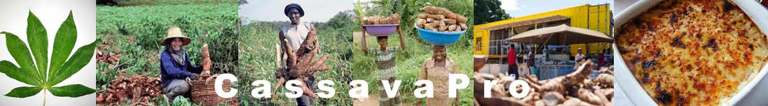 cassava-all